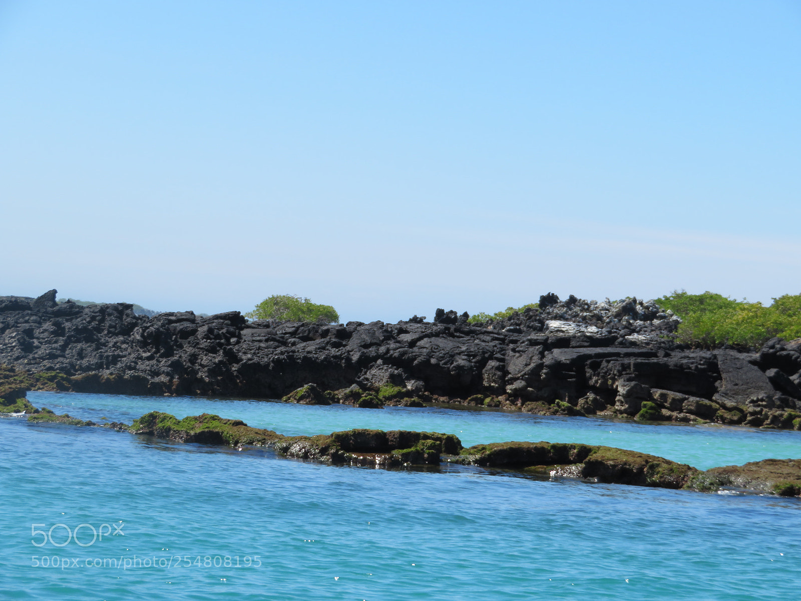 Canon PowerShot SX720 HS sample photo. Img photography