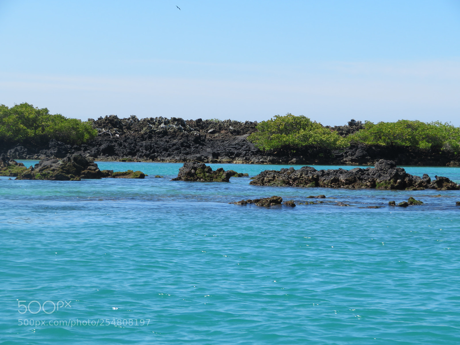 Canon PowerShot SX720 HS sample photo. Img photography