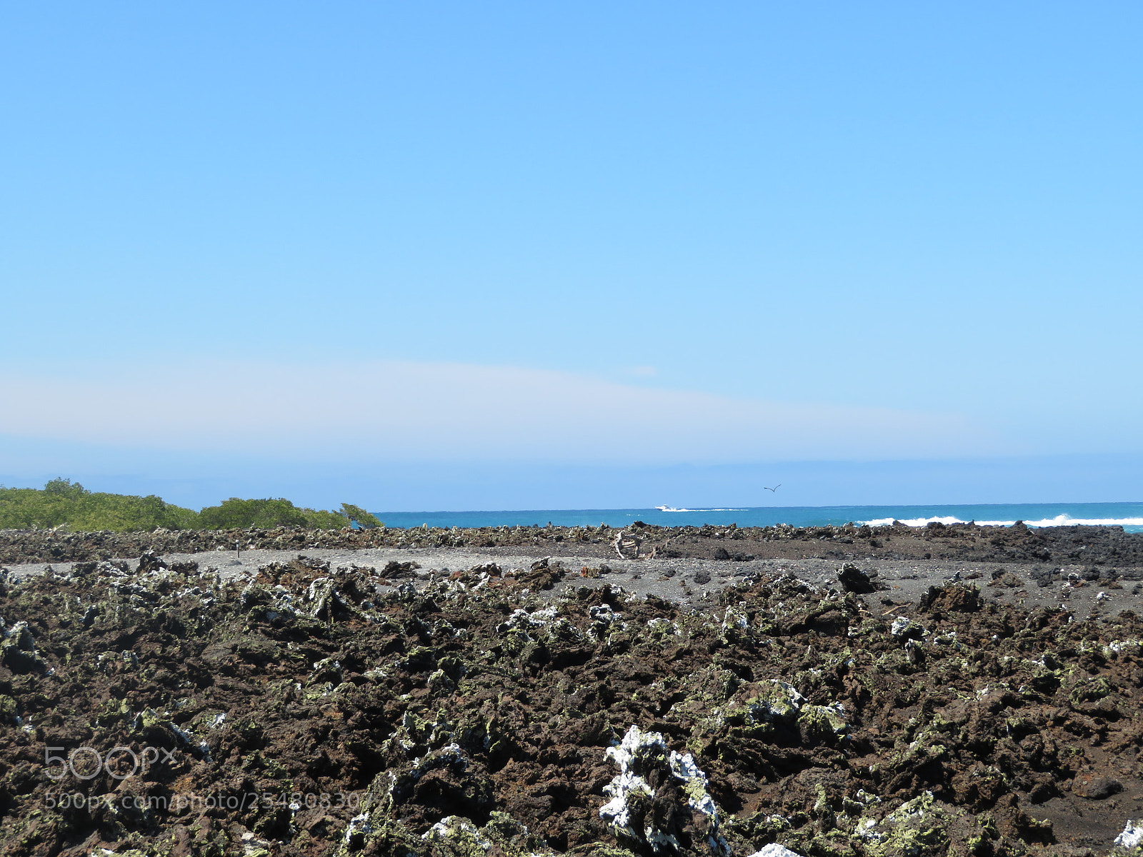 Canon PowerShot SX720 HS sample photo. Img photography