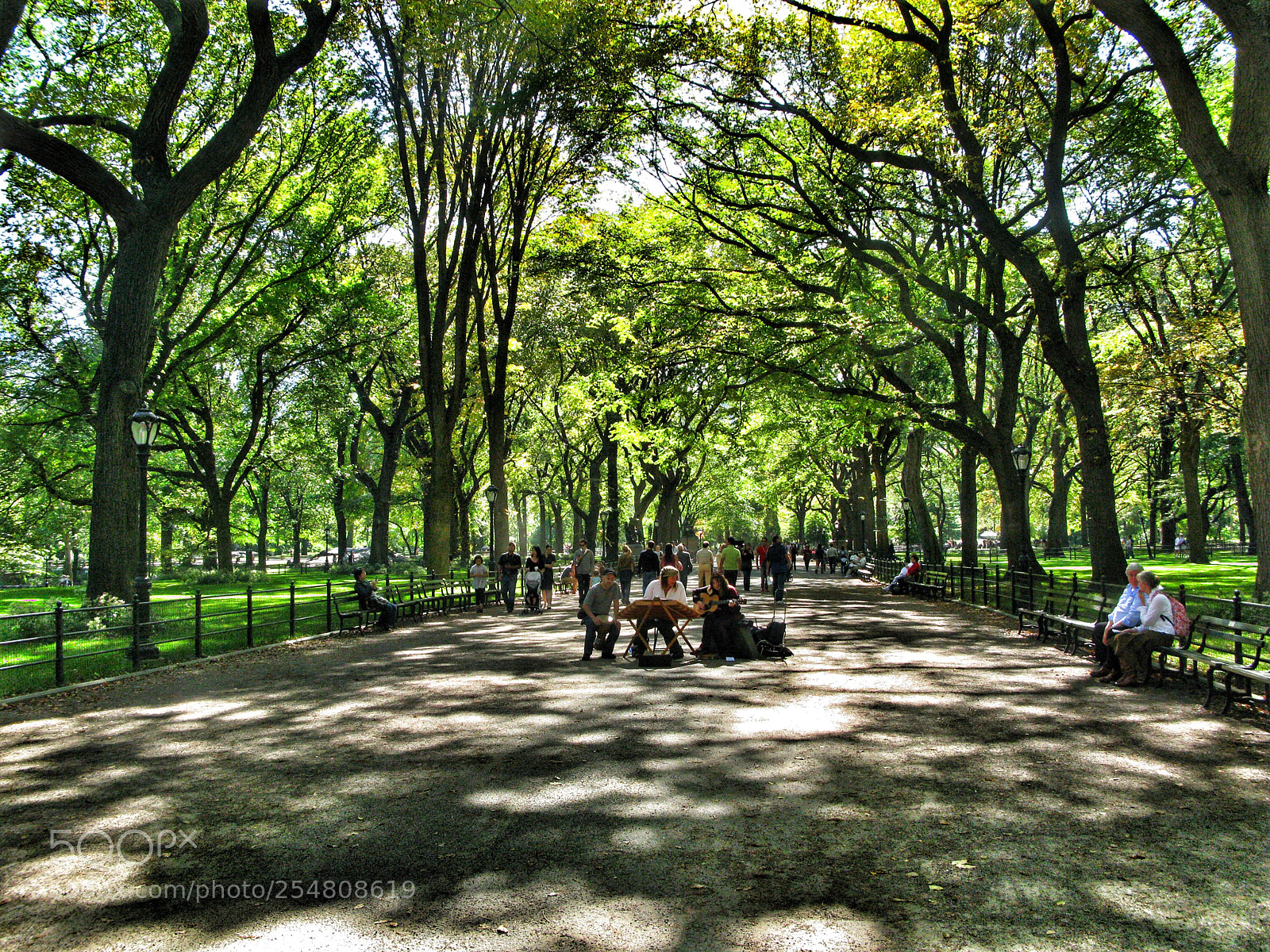 Canon POWERSHOT G9 sample photo. Central park photography