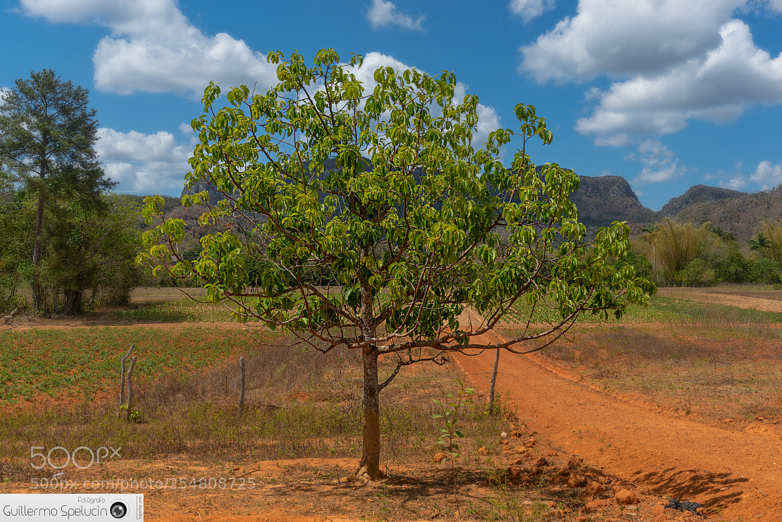 Sony a7R II sample photo. Valley of viñales photography