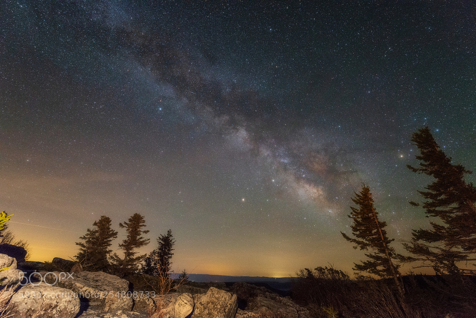 Nikon D800 sample photo. Bear rocks at dolly photography