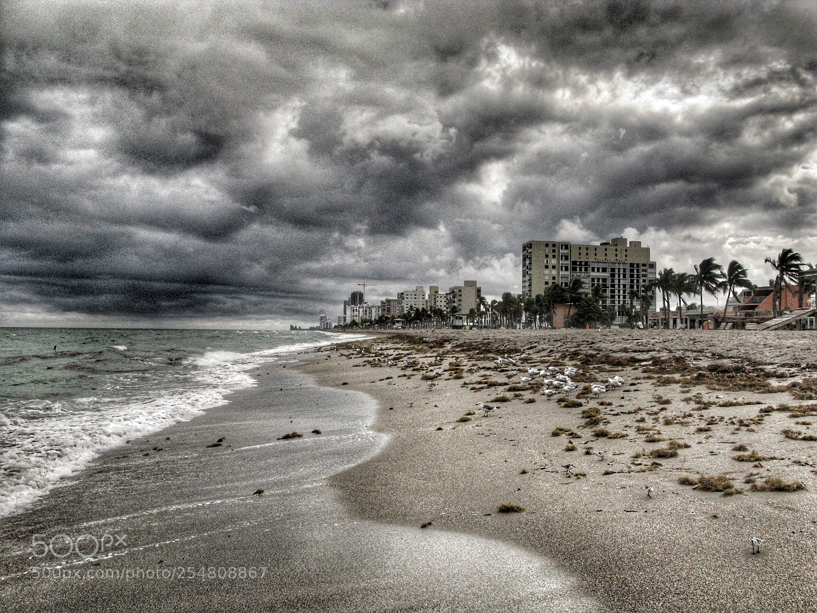 Canon POWERSHOT G9 sample photo. Cloudy day in miami photography