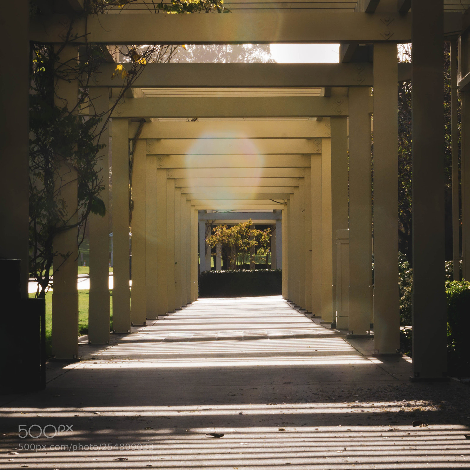 Sony a6000 sample photo. Down the path photography