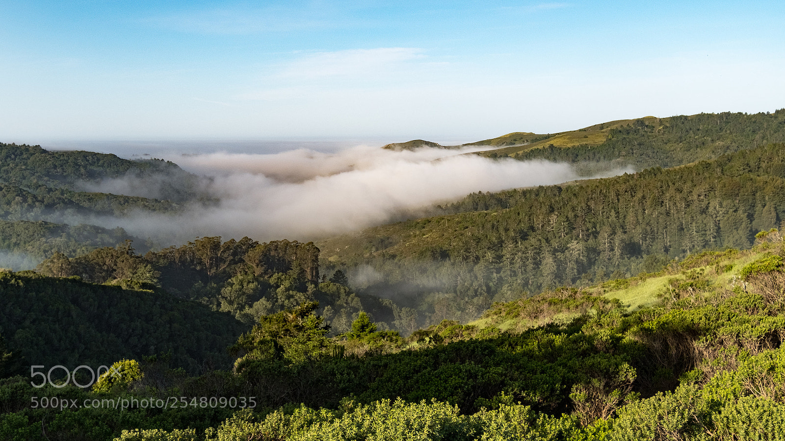 Fujifilm X-T2 sample photo. View fro mt tam photography