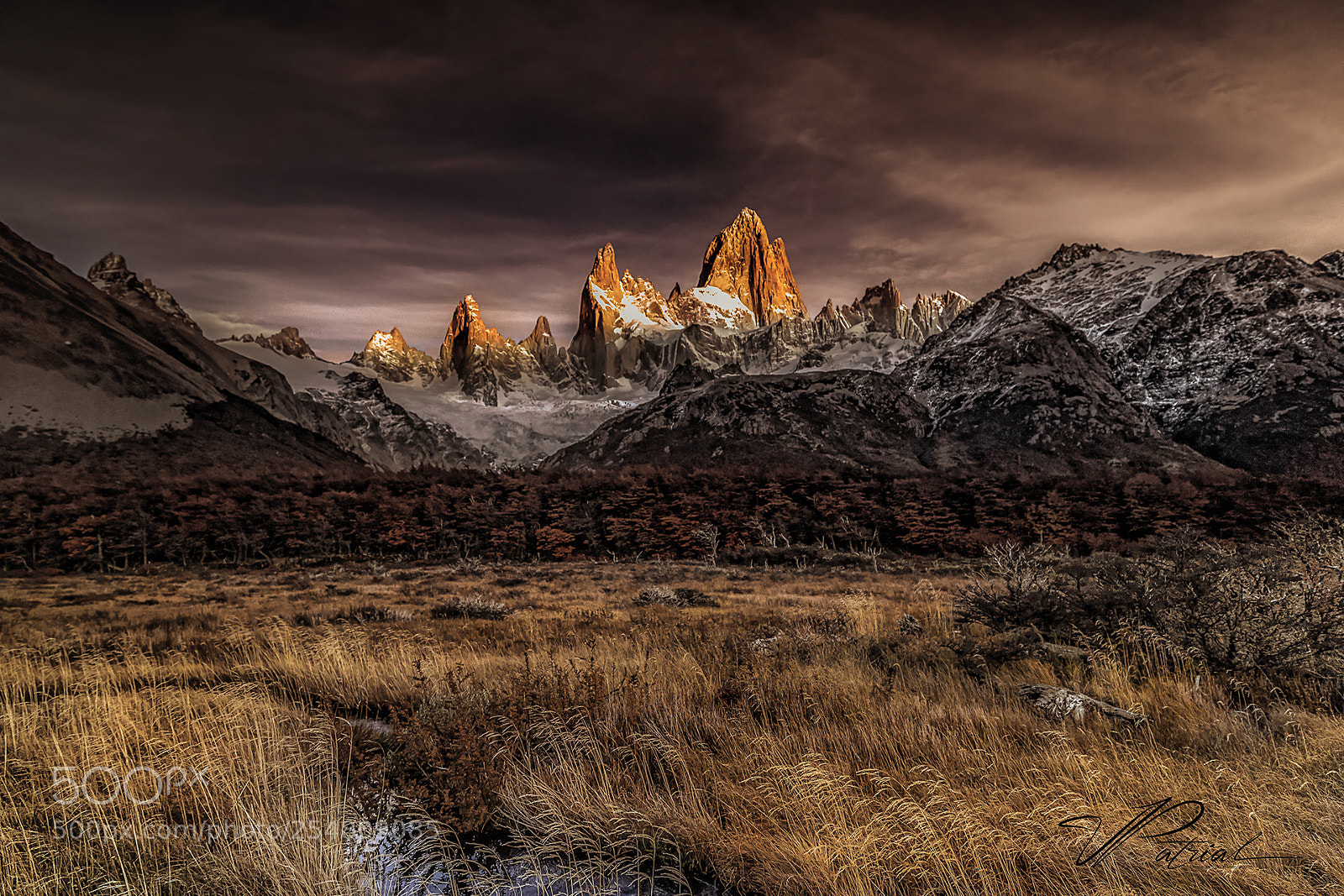 Canon EOS 5D Mark IV sample photo. Golden patagonia photography