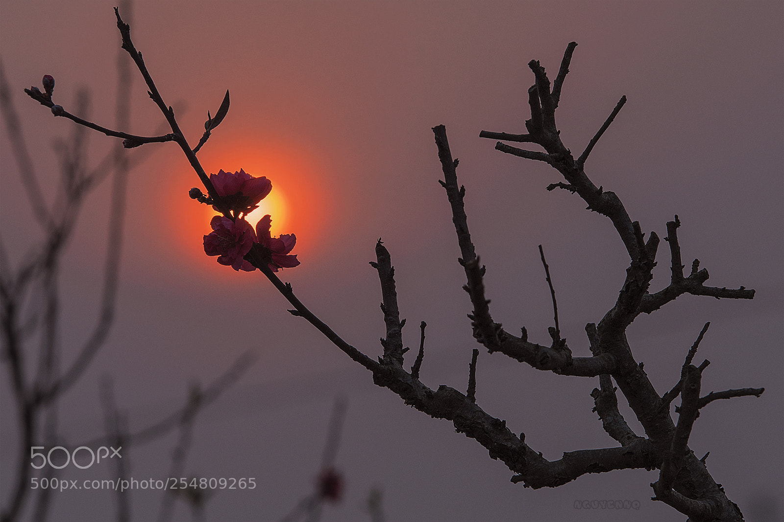 Nikon D800E sample photo. Focus photography