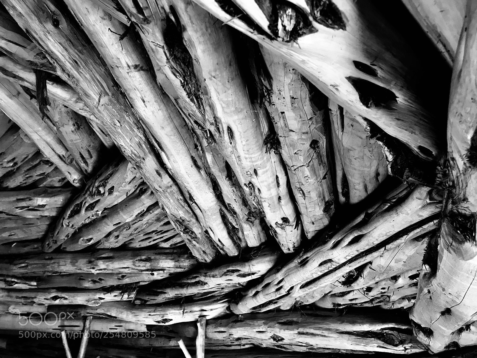 Apple iPhone 7 sample photo. Ceiling of the hogan photography