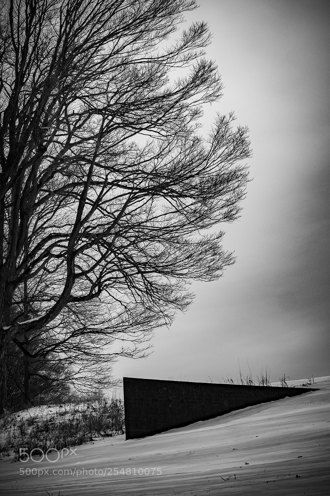 Fujifilm X-T1 sample photo. Untitled photography