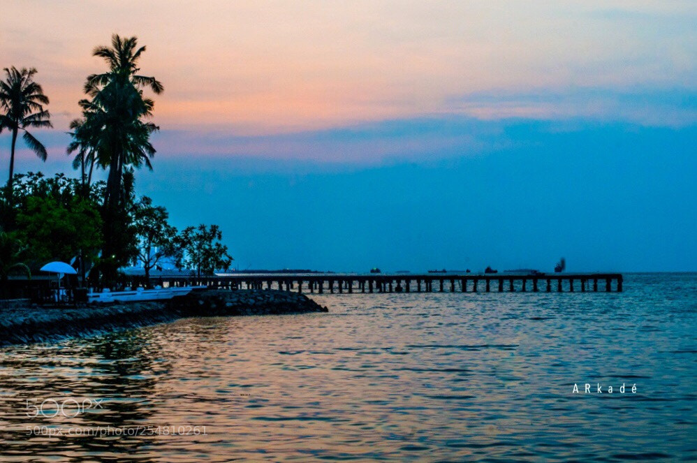 Nikon D300 sample photo. When the nite start photography