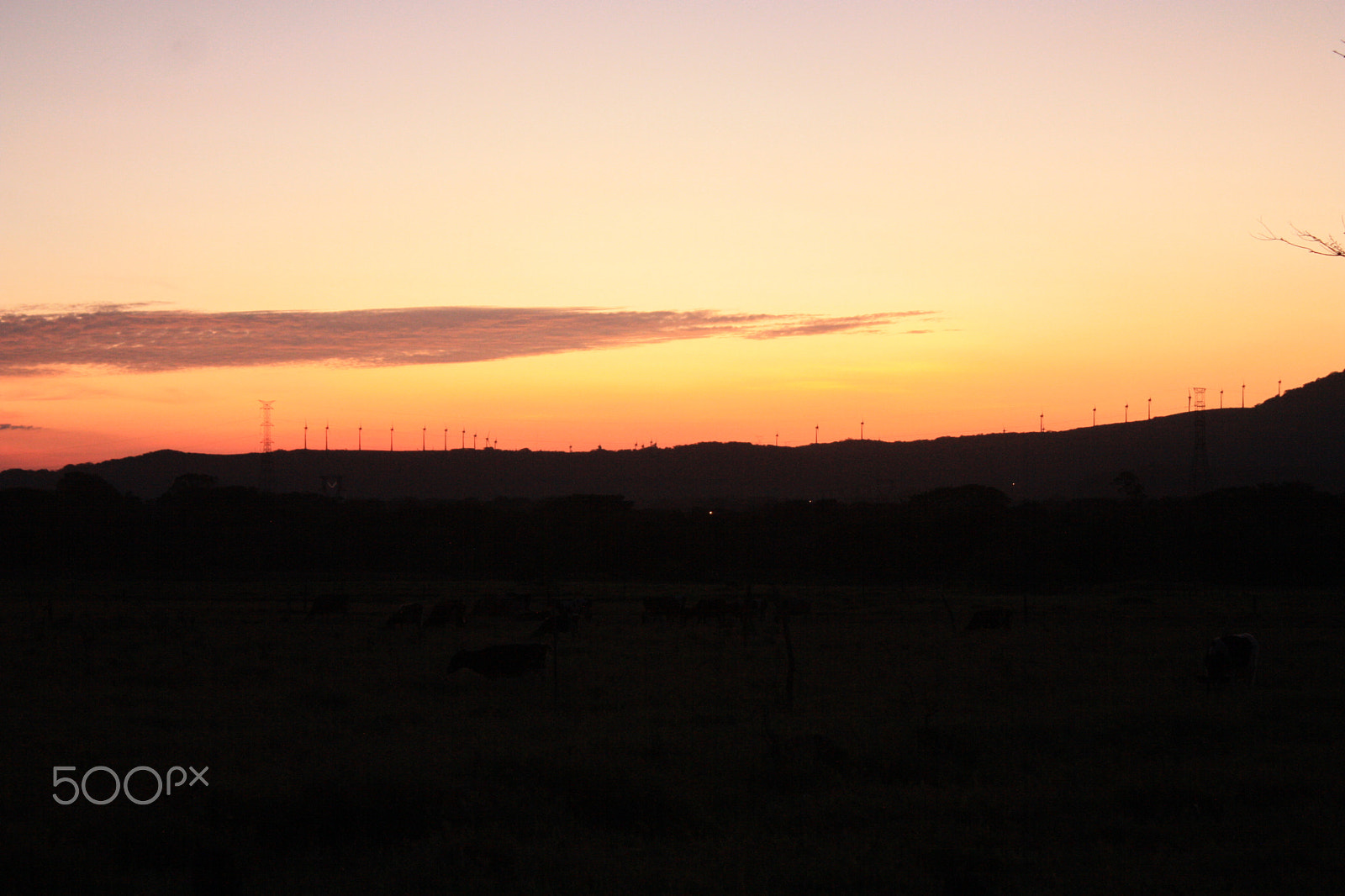 Canon EOS 450D (EOS Rebel XSi / EOS Kiss X2) sample photo. Wind power at a distance photography