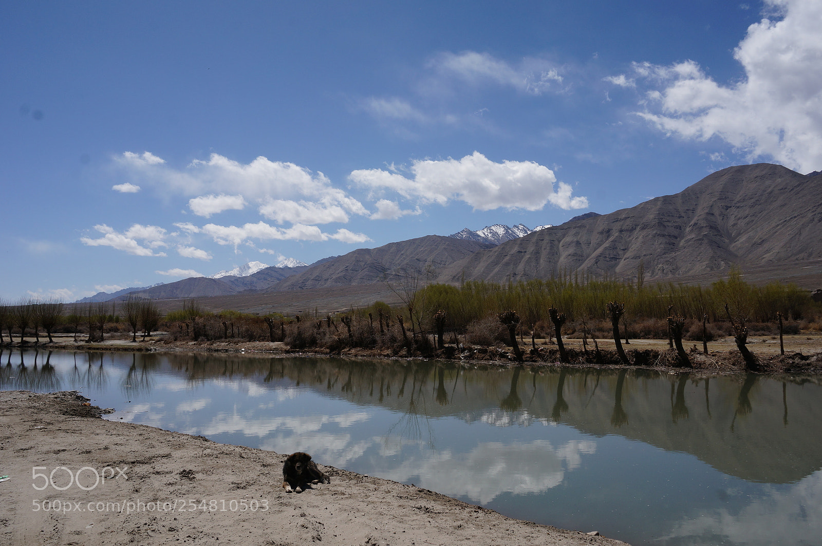 Sony Alpha NEX-6 sample photo. Indus river photography