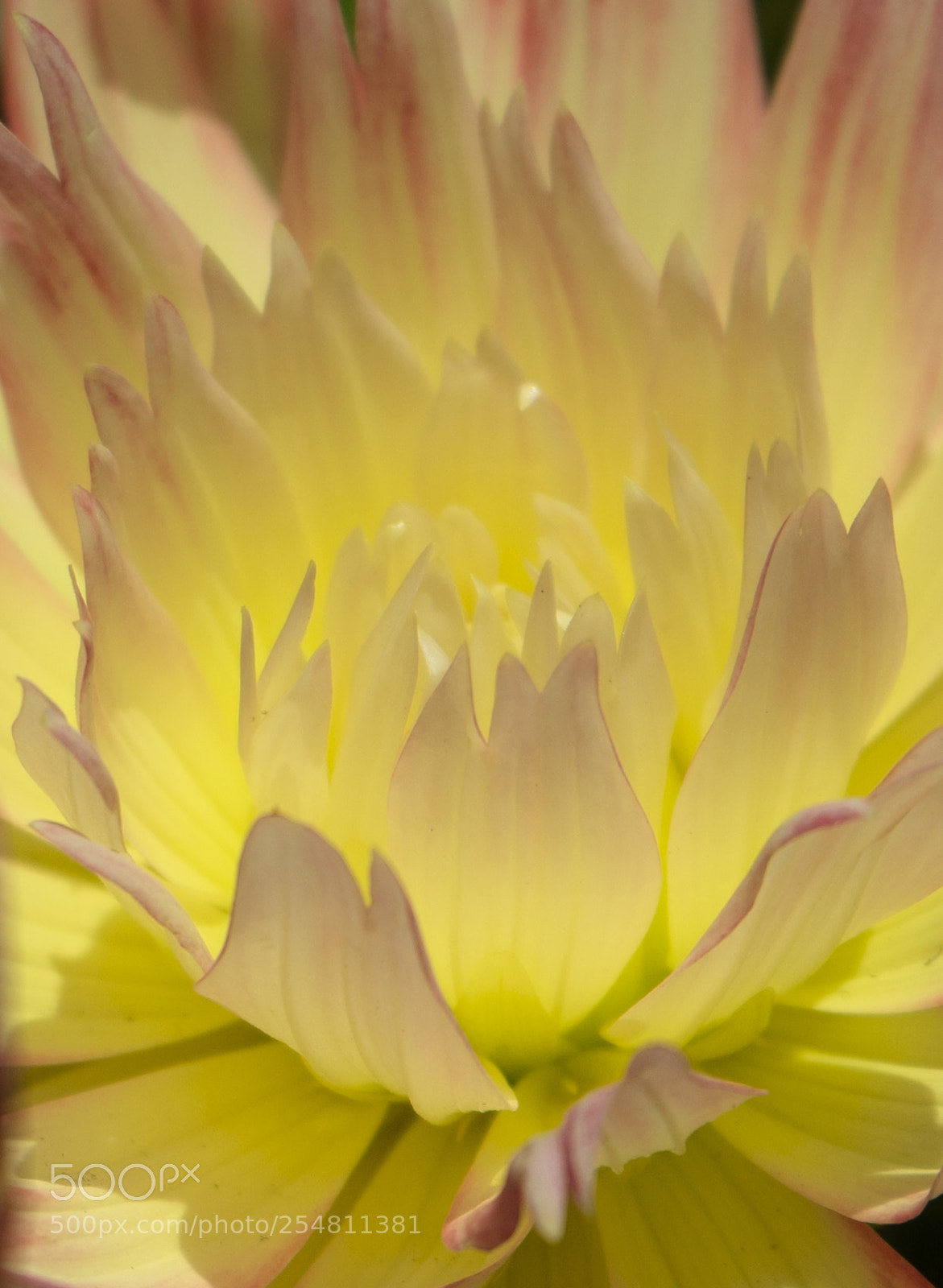 Sony a7 II sample photo. _dsc8888.1.jpg photography