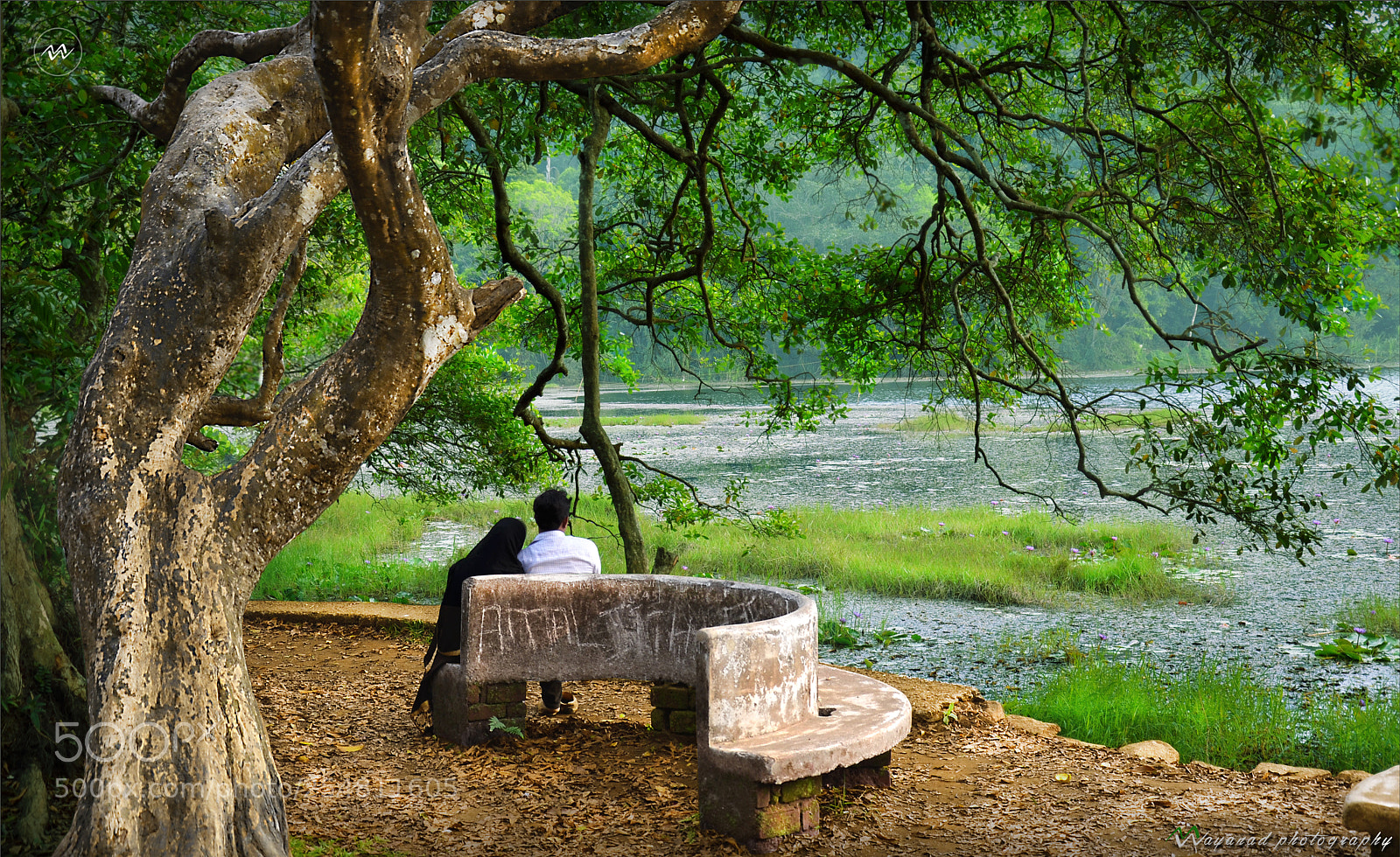 Nikon D7000 sample photo. Pookode lake wayanad kerala photography
