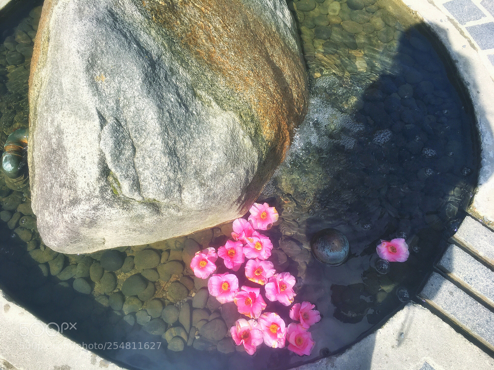 Apple iPhone 6s sample photo. Gardon photography