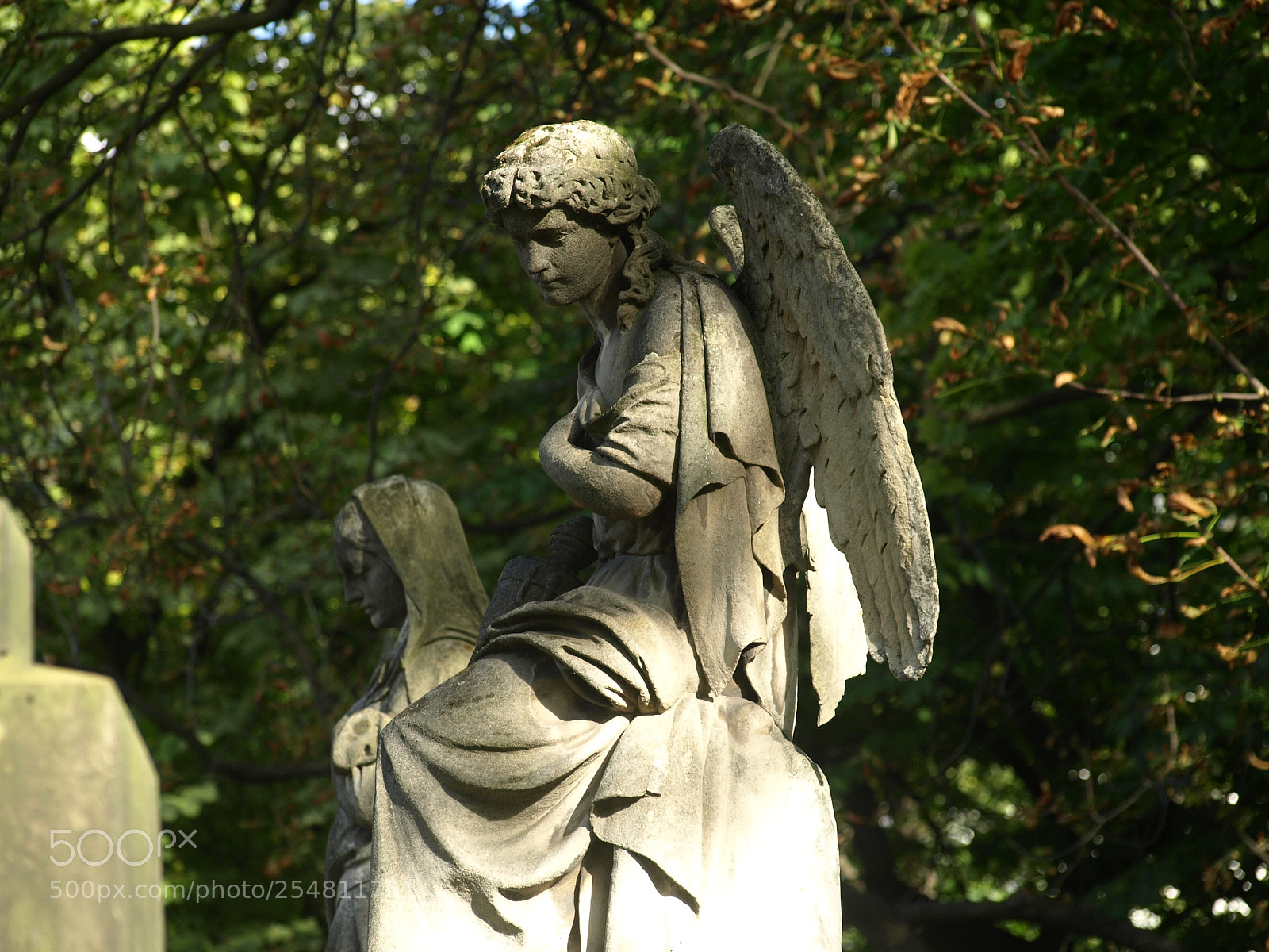 Olympus E-510 (EVOLT E-510) sample photo. Angel photography