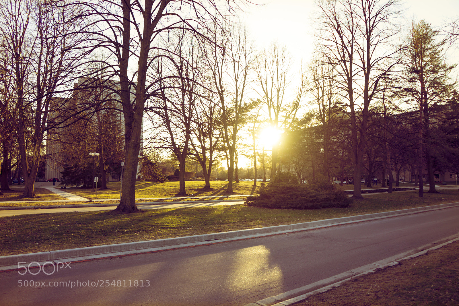 Sony a7 II sample photo. 曦 photography