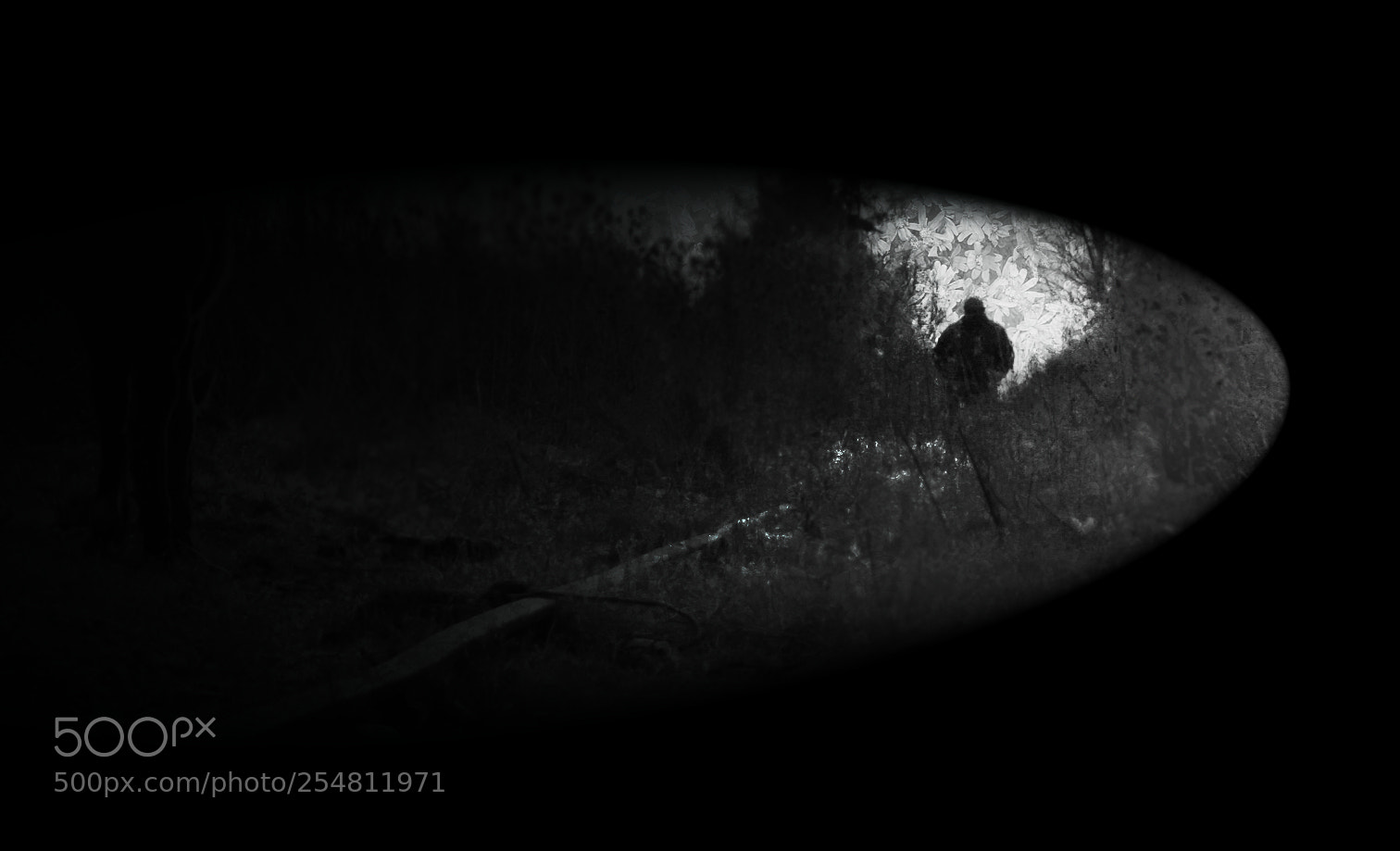 Nikon D5300 sample photo. Mistery man photography