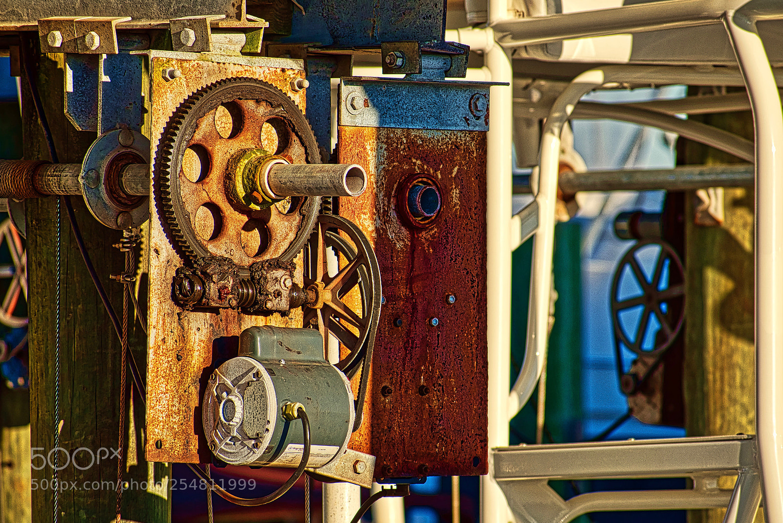 Nikon D5600 sample photo. Cog eye candy photography