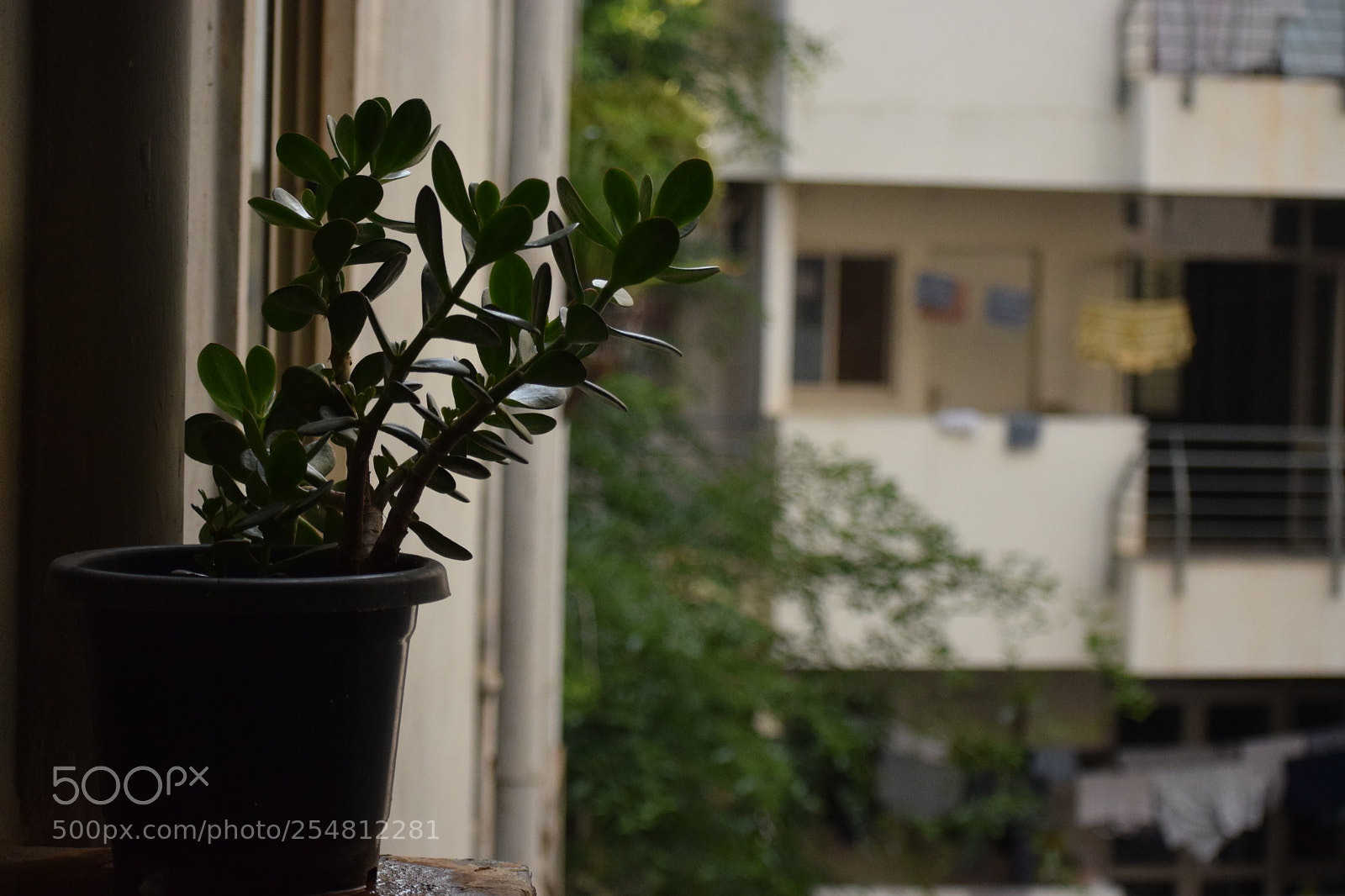Nikon D3300 sample photo. A virtual recluse photography