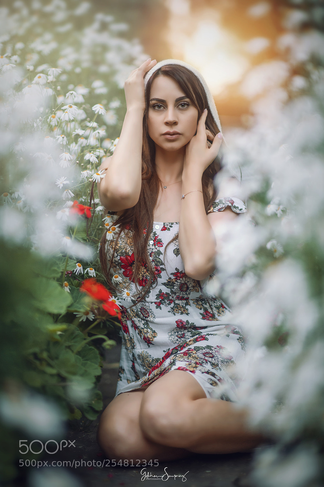 Nikon D850 sample photo. Colors of spring photography