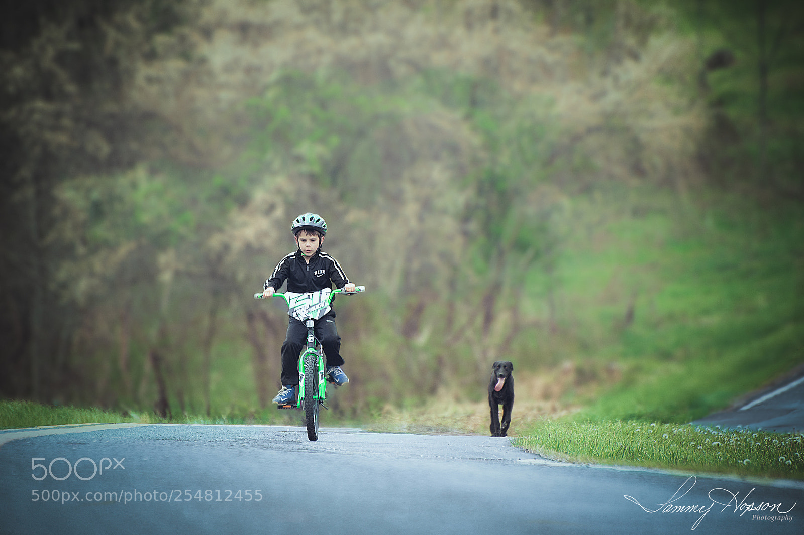 Nikon D800 sample photo. A boy, a bike photography