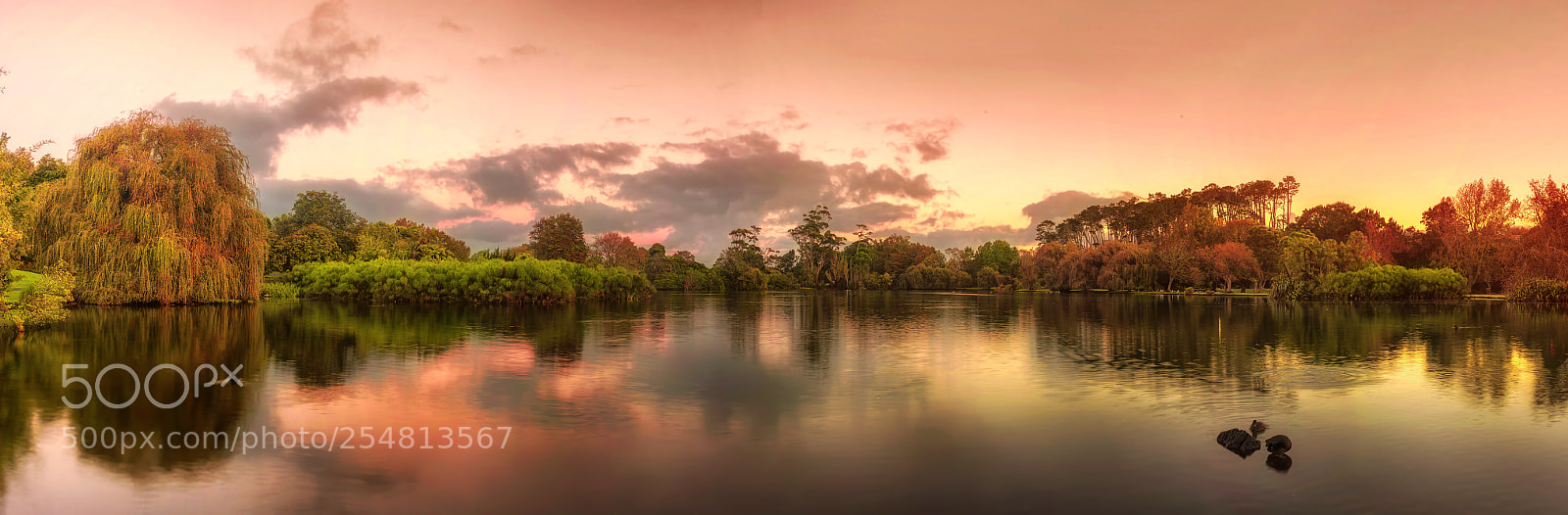 Nikon D800 sample photo. Autumn lake - western photography