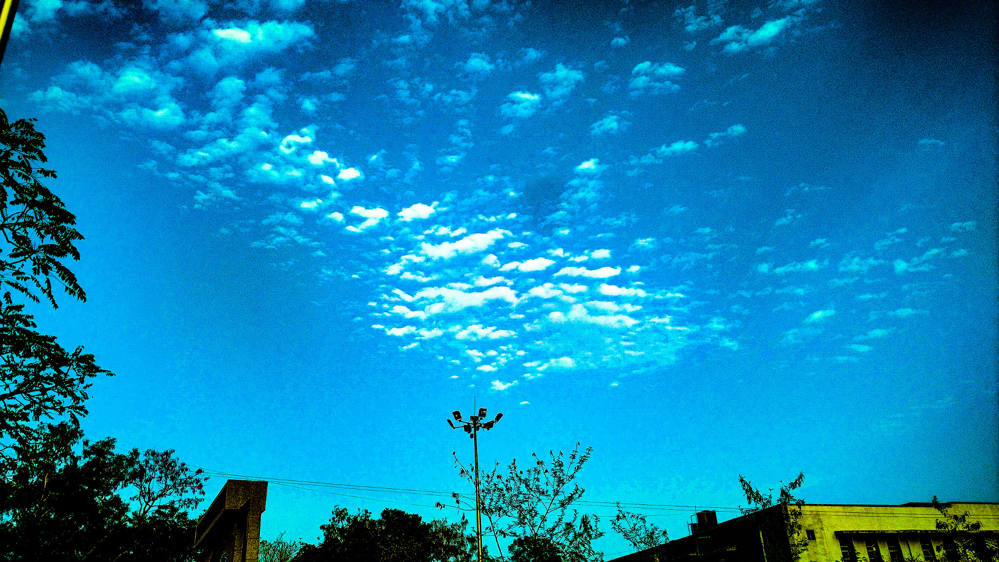 Motorola Moto X Play sample photo