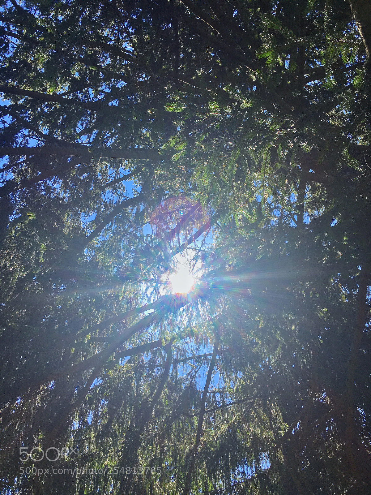 Apple iPhone 6s sample photo. Light photography