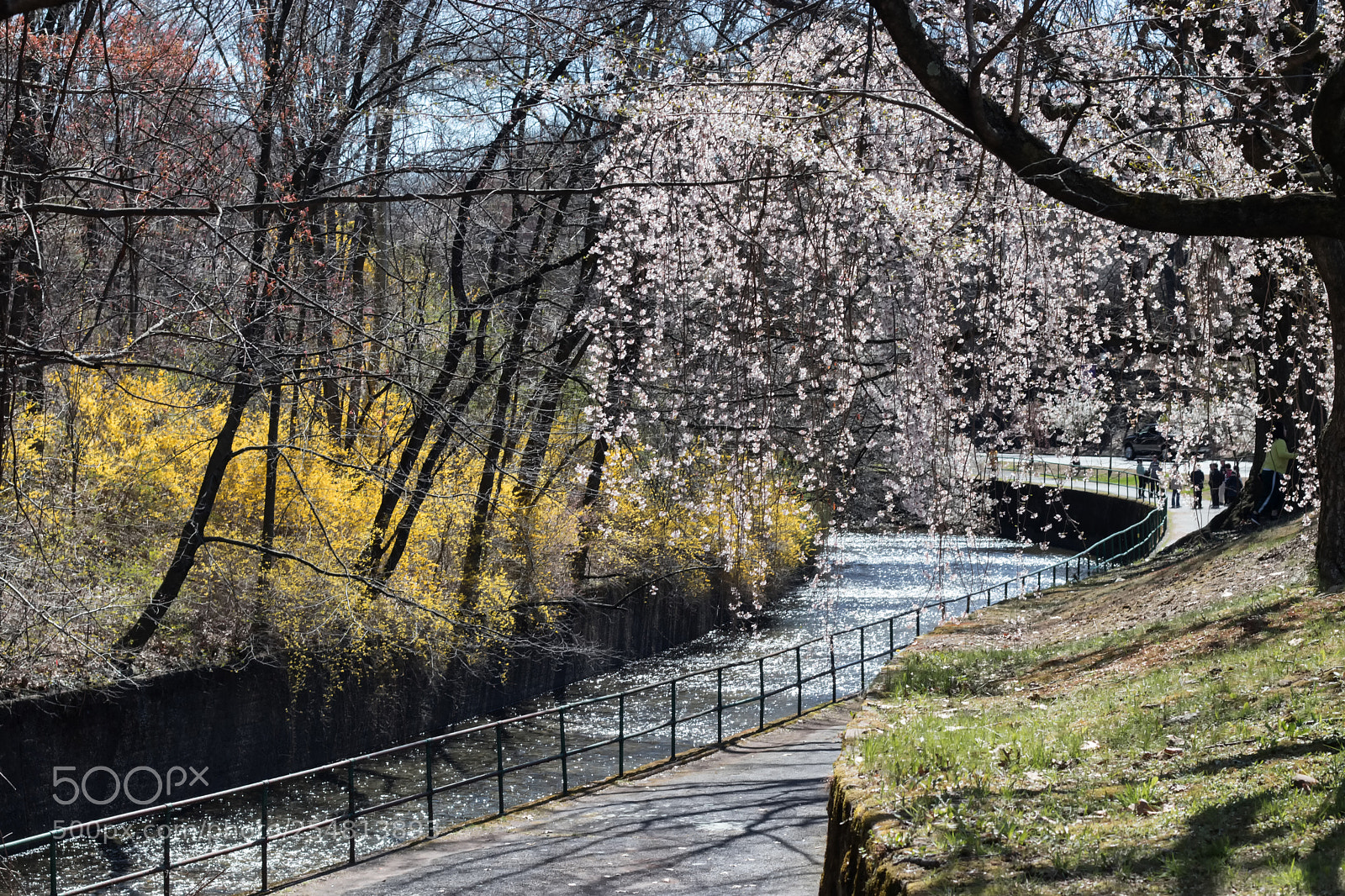 Canon EOS 800D (EOS Rebel T7i / EOS Kiss X9i) sample photo. April morning in branch photography