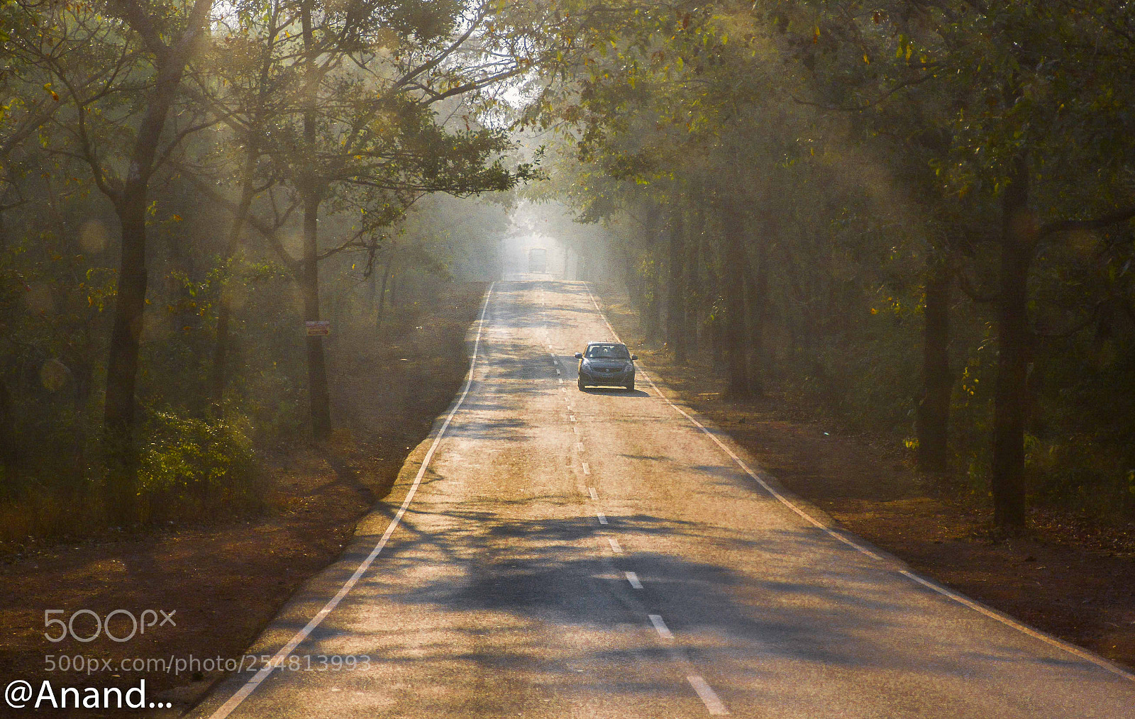 Nikon D5200 sample photo. Untitled photography