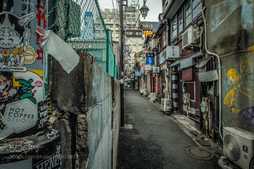 Canon EOS 550D (EOS Rebel T2i / EOS Kiss X4) sample photo. Golden gai photography
