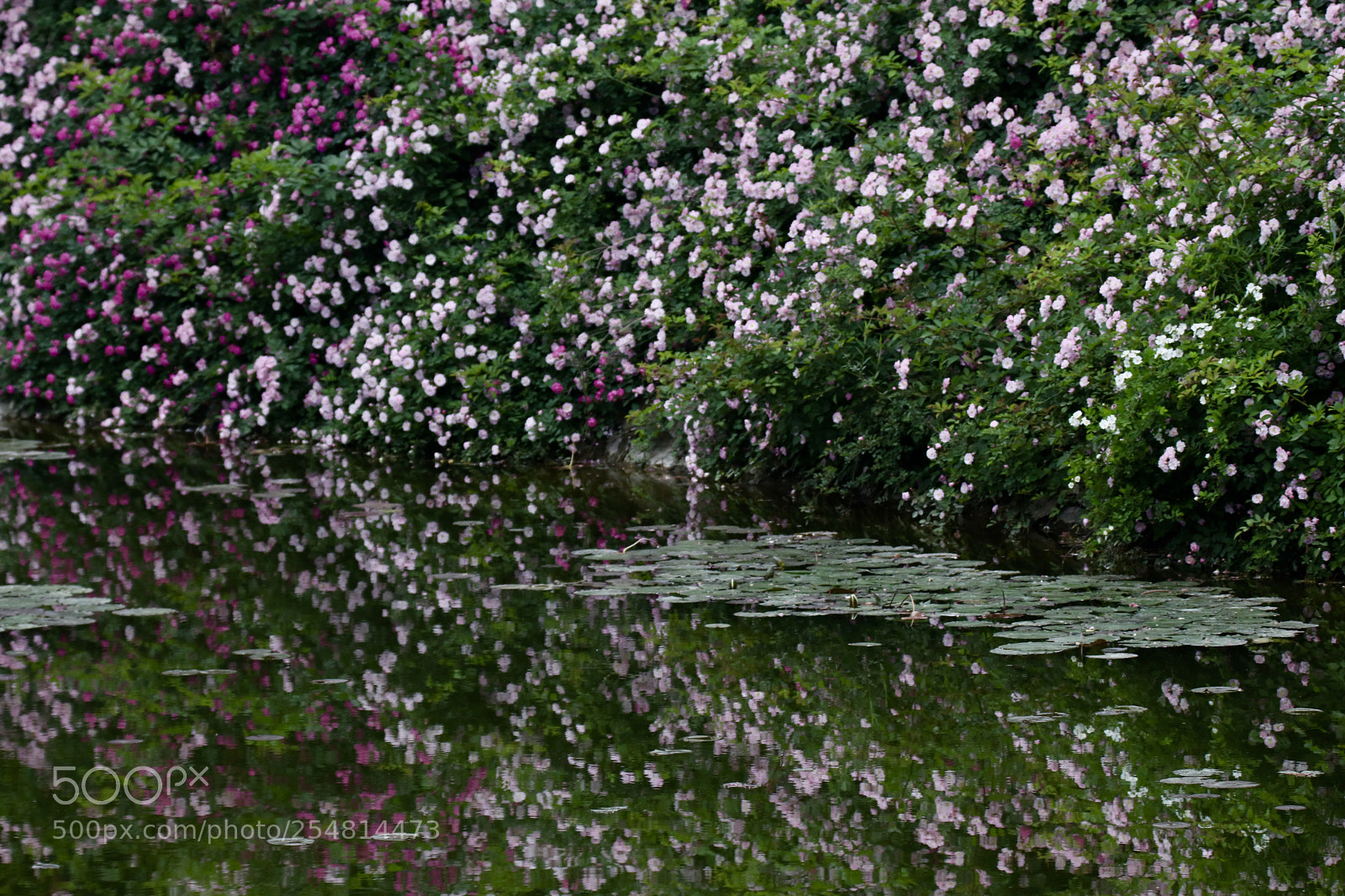 Canon EOS 80D sample photo. The most beautiful world photography