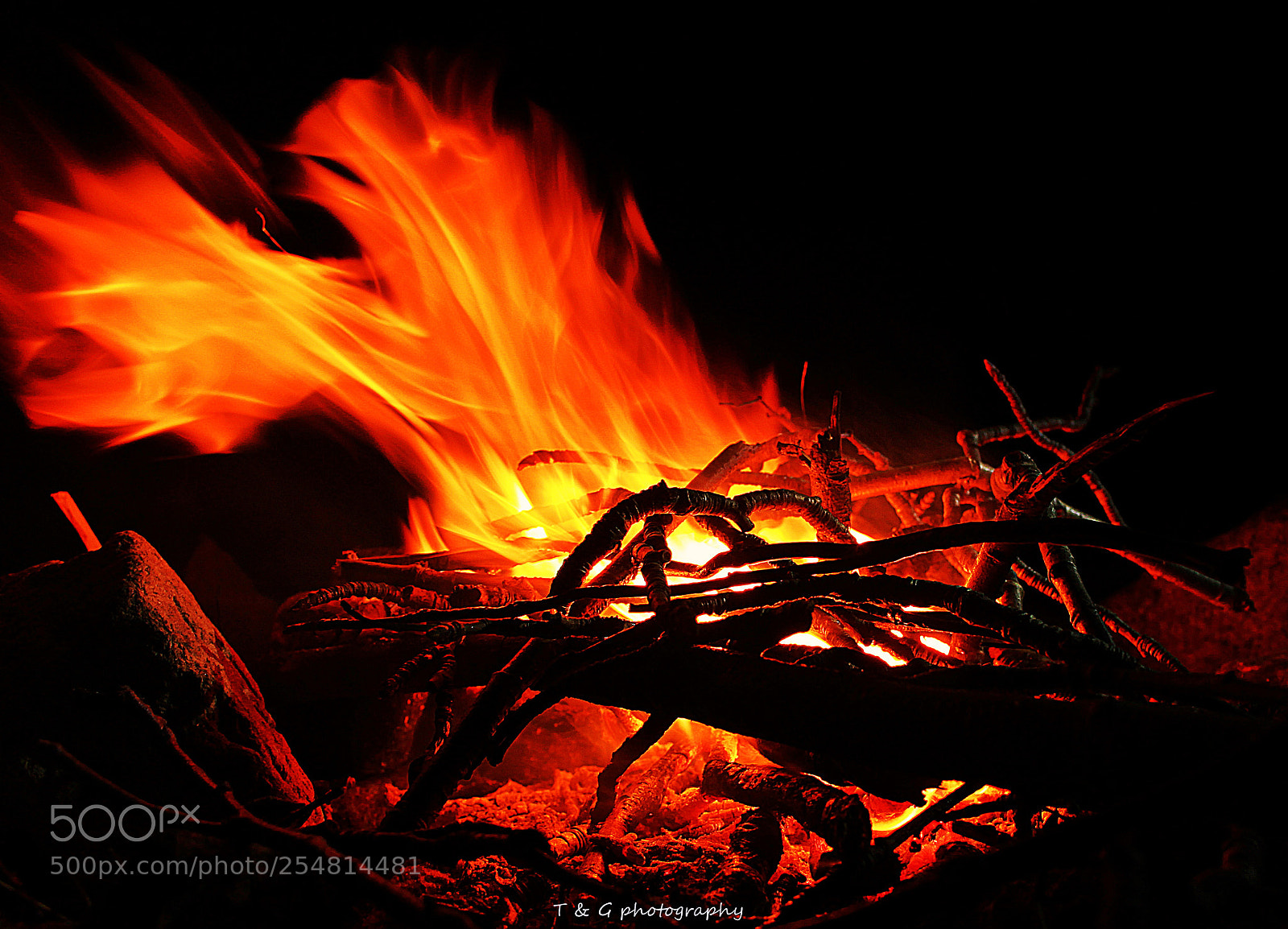 Canon EOS 100D (EOS Rebel SL1 / EOS Kiss X7) sample photo. Phoenix rising photography