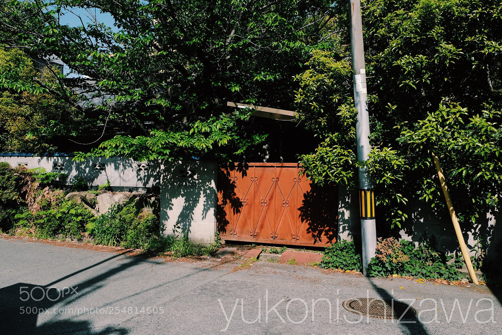 Fujifilm X-Pro2 sample photo. Telegraph pole 001 photography