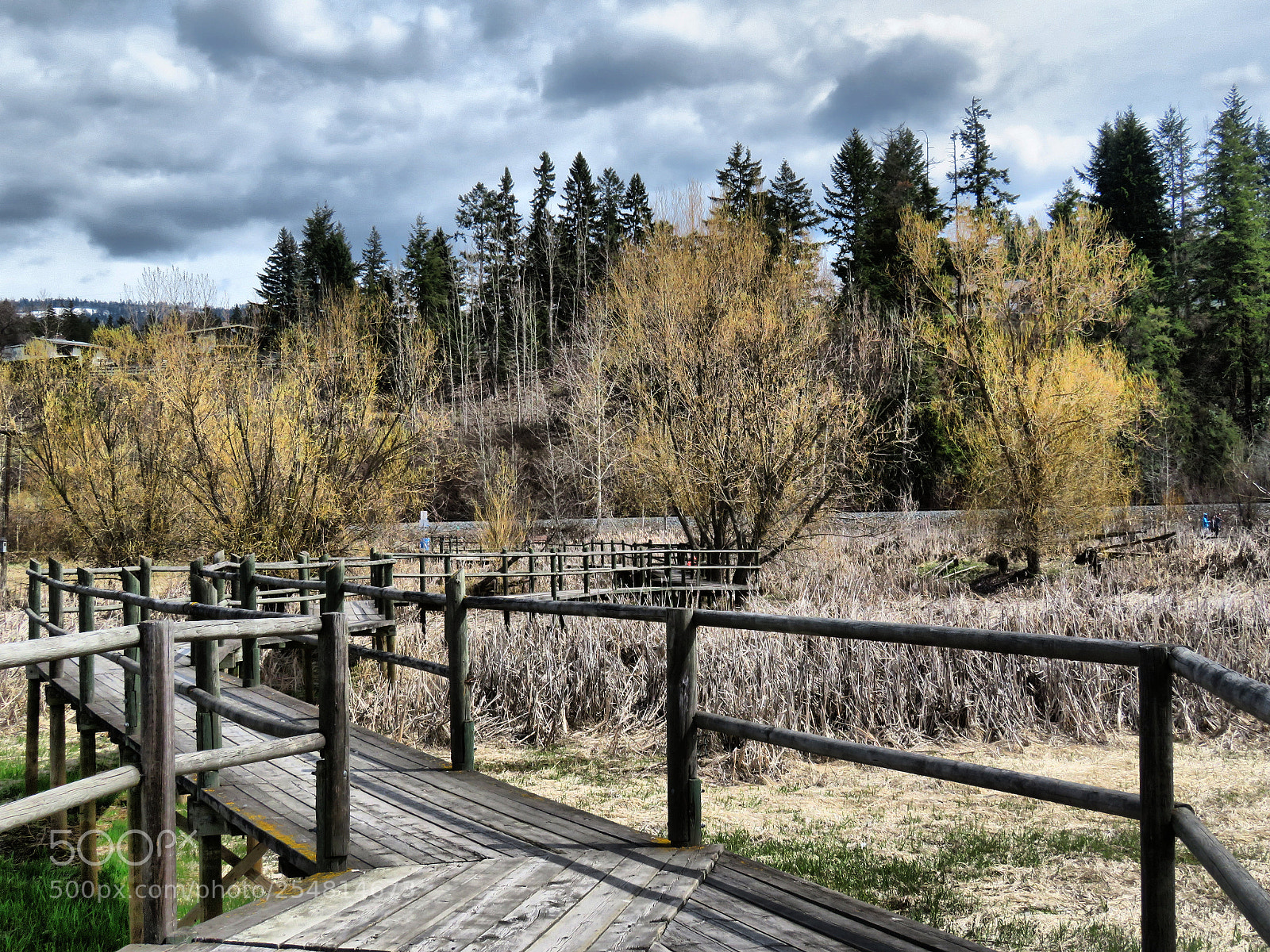 Canon PowerShot SX720 HS sample photo. Raven trail photography
