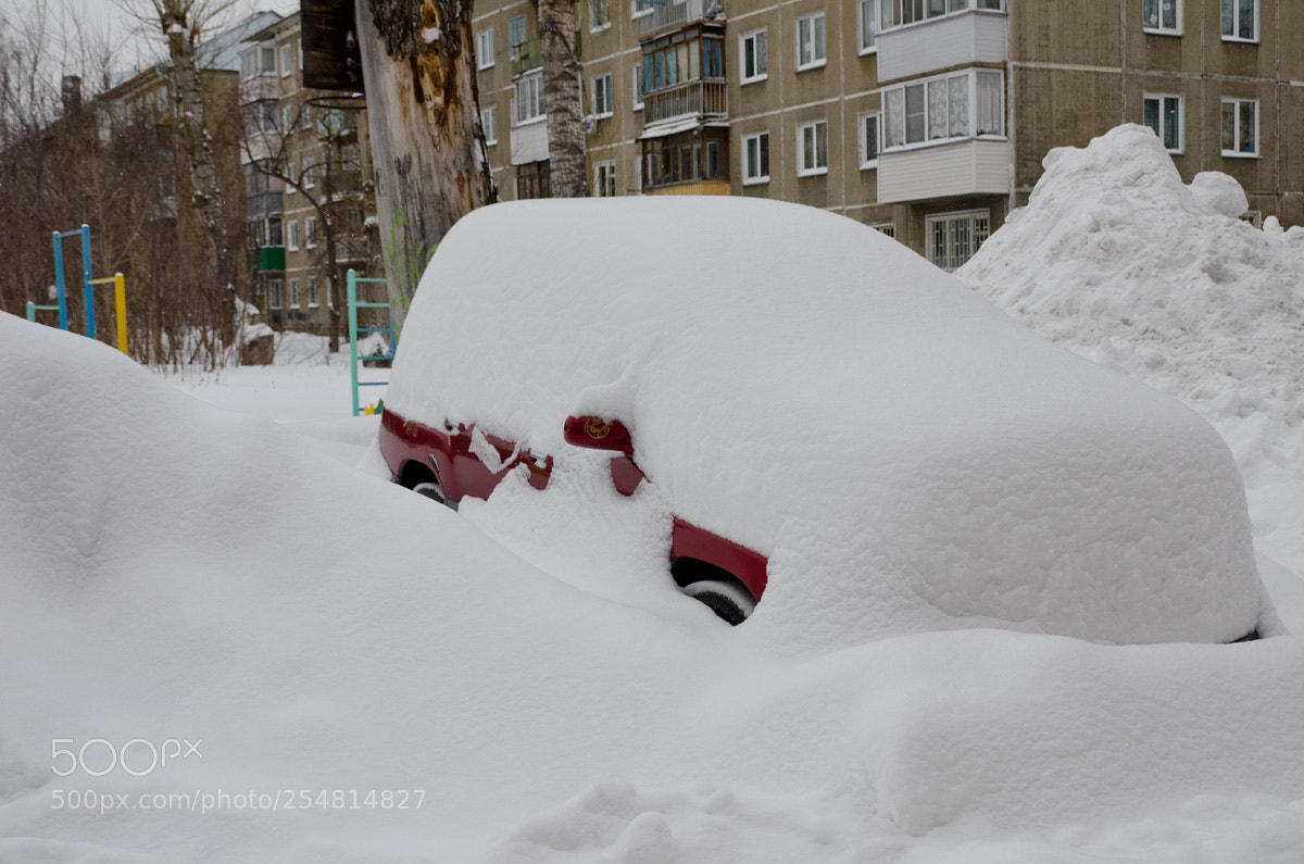 Nikon D7000 sample photo. Завалило снегом photography