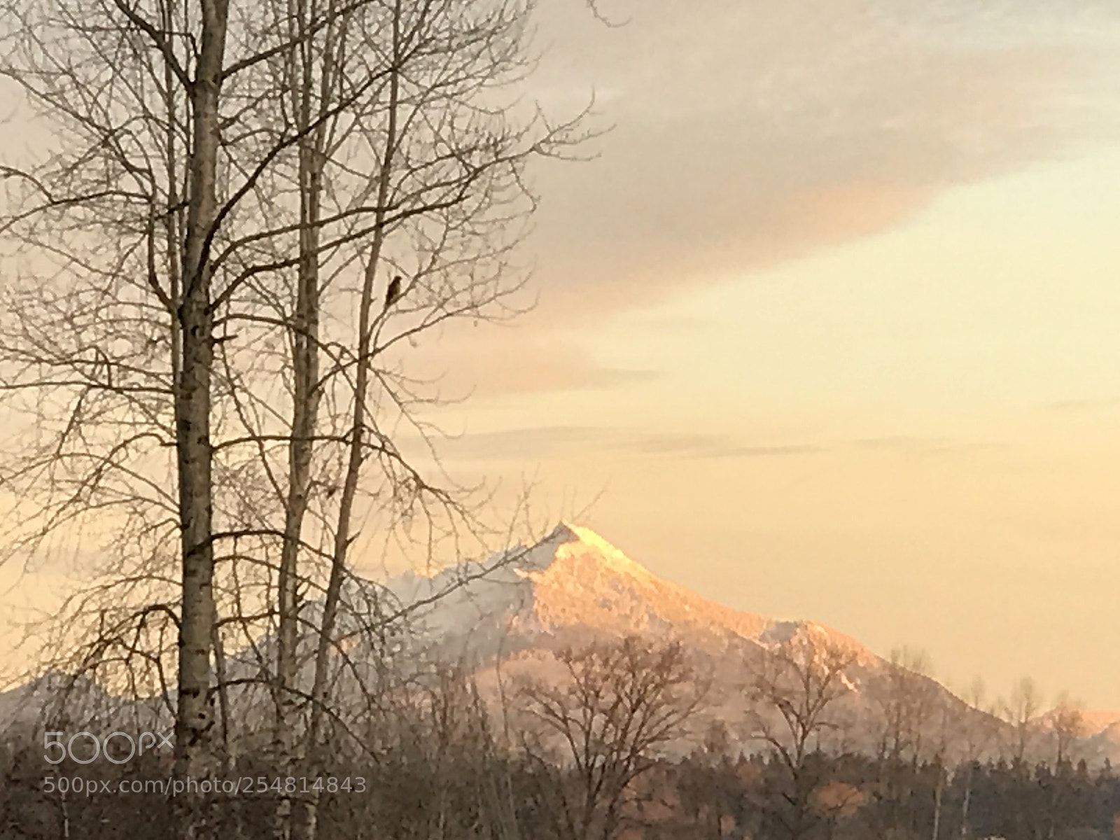 Apple iPhone 7 Plus sample photo. Pilchuck dawn photography