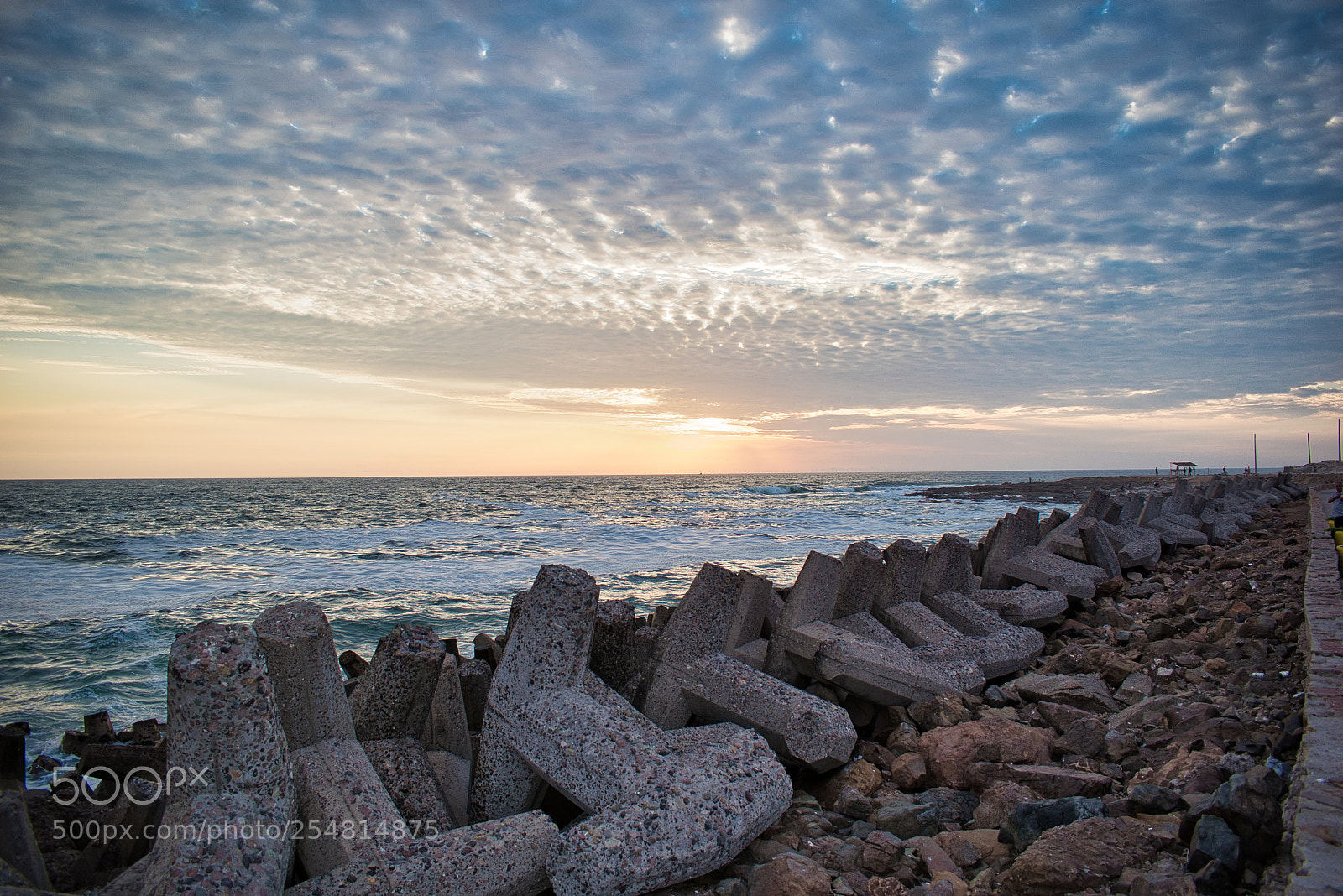 Nikon D5600 sample photo. Es isla el alacr photography