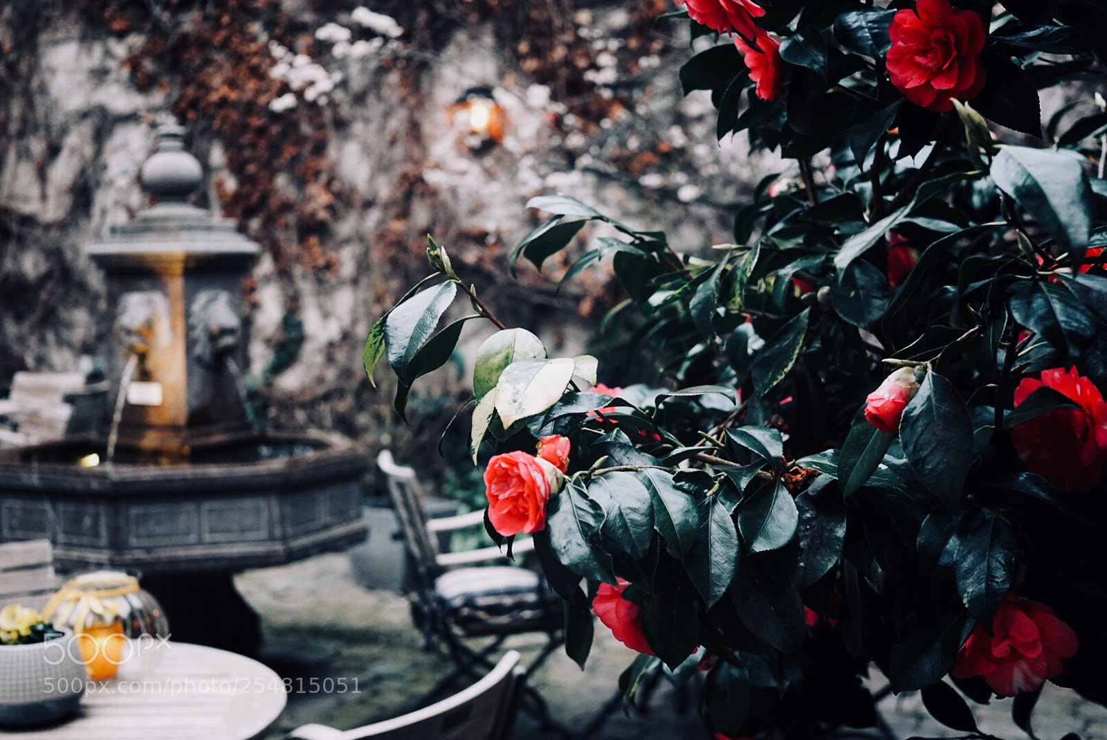 Sony a6000 sample photo. Little romance photography