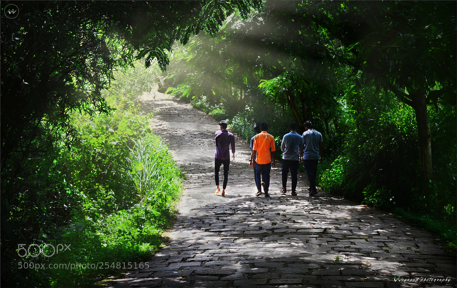 Nikon D7000 sample photo. Walking to the woods photography