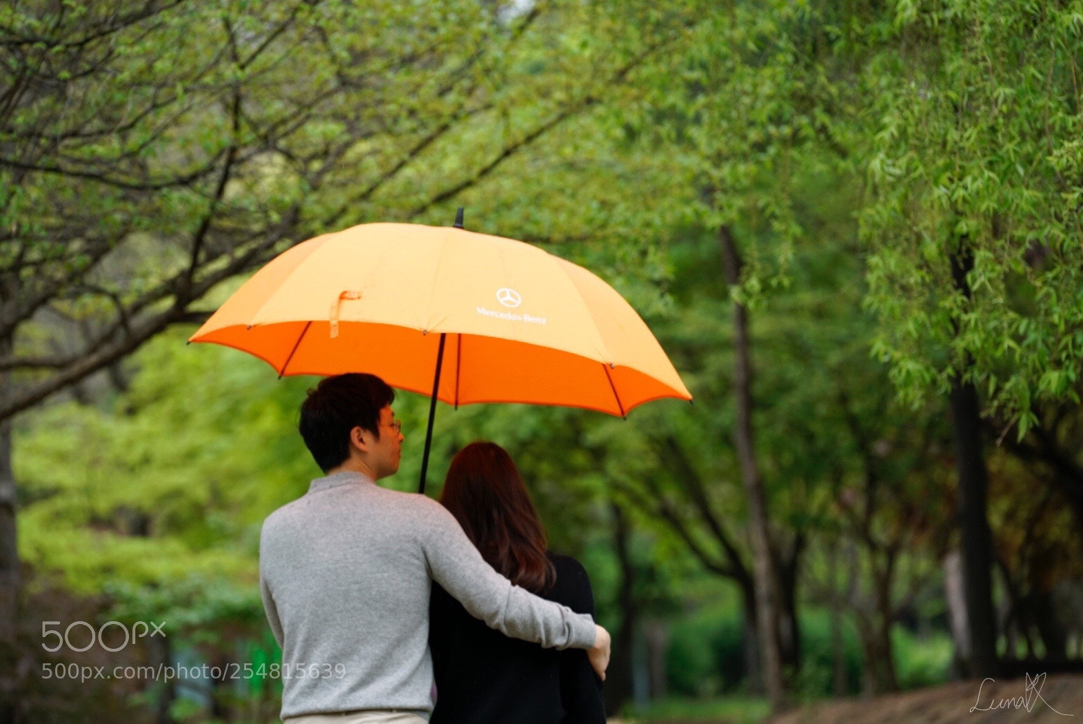 Sony a7R II sample photo. The way to go photography