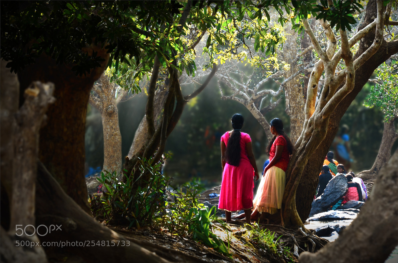 Nikon D7000 sample photo. Kuruva island wayanad kerala photography