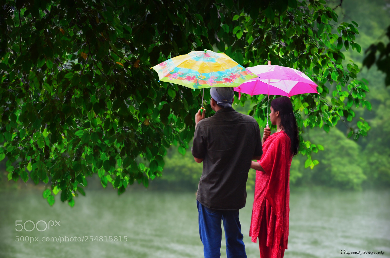Nikon D7000 sample photo. Couple pookode wayanad kerala photography