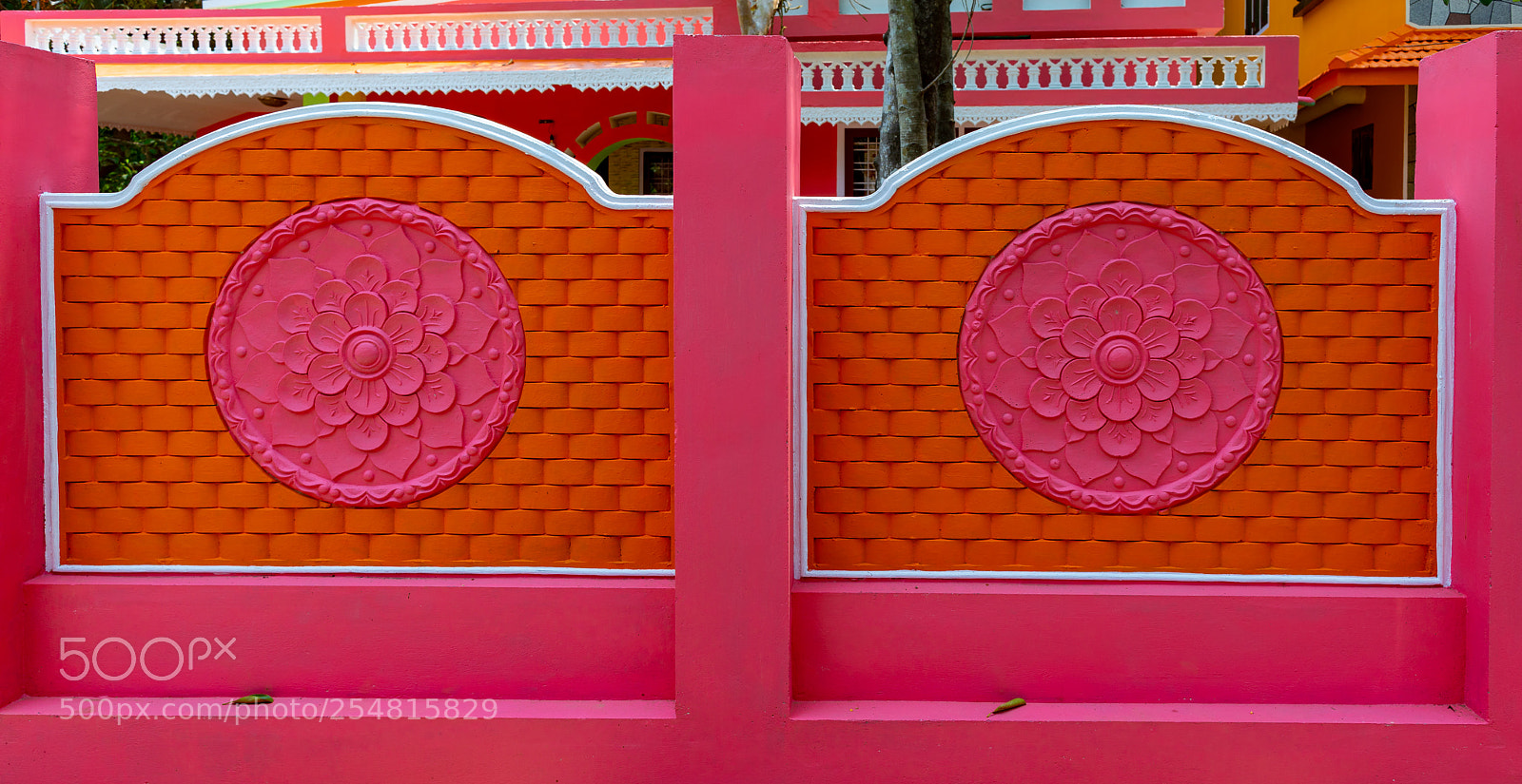 Canon EOS 5D Mark IV sample photo. Pink wall photography