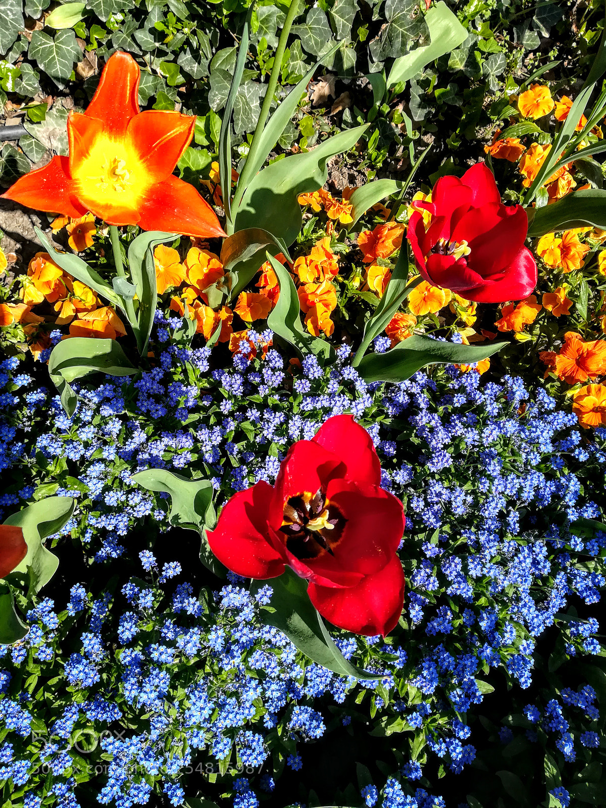 HUAWEI PRA-LX1 sample photo. Untitled photography