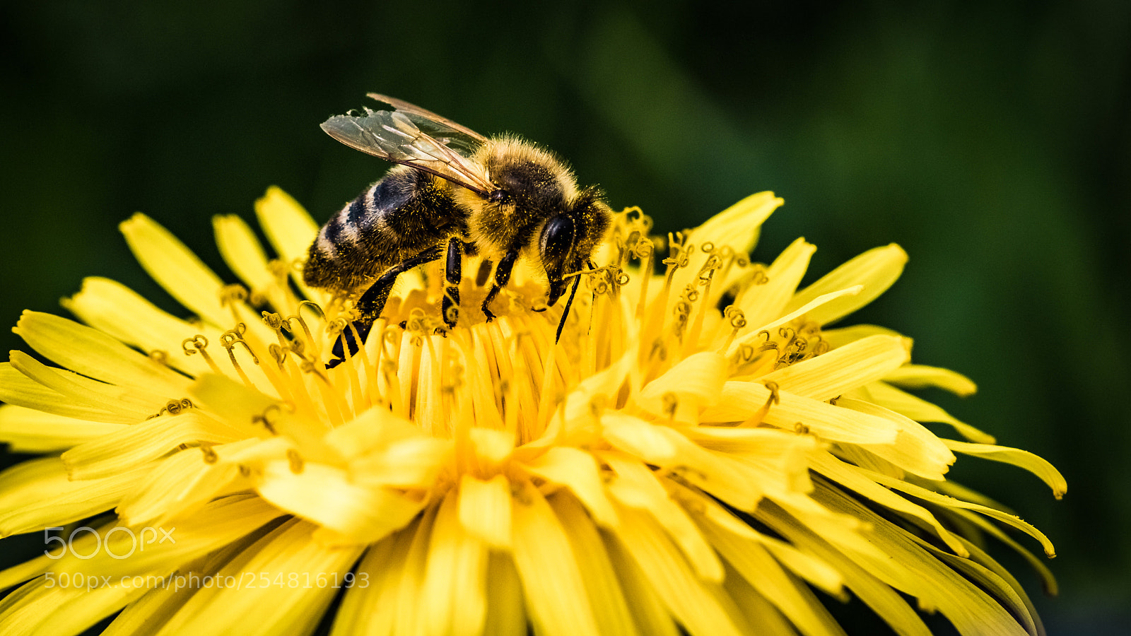 Canon EOS 80D sample photo. Collecting photography