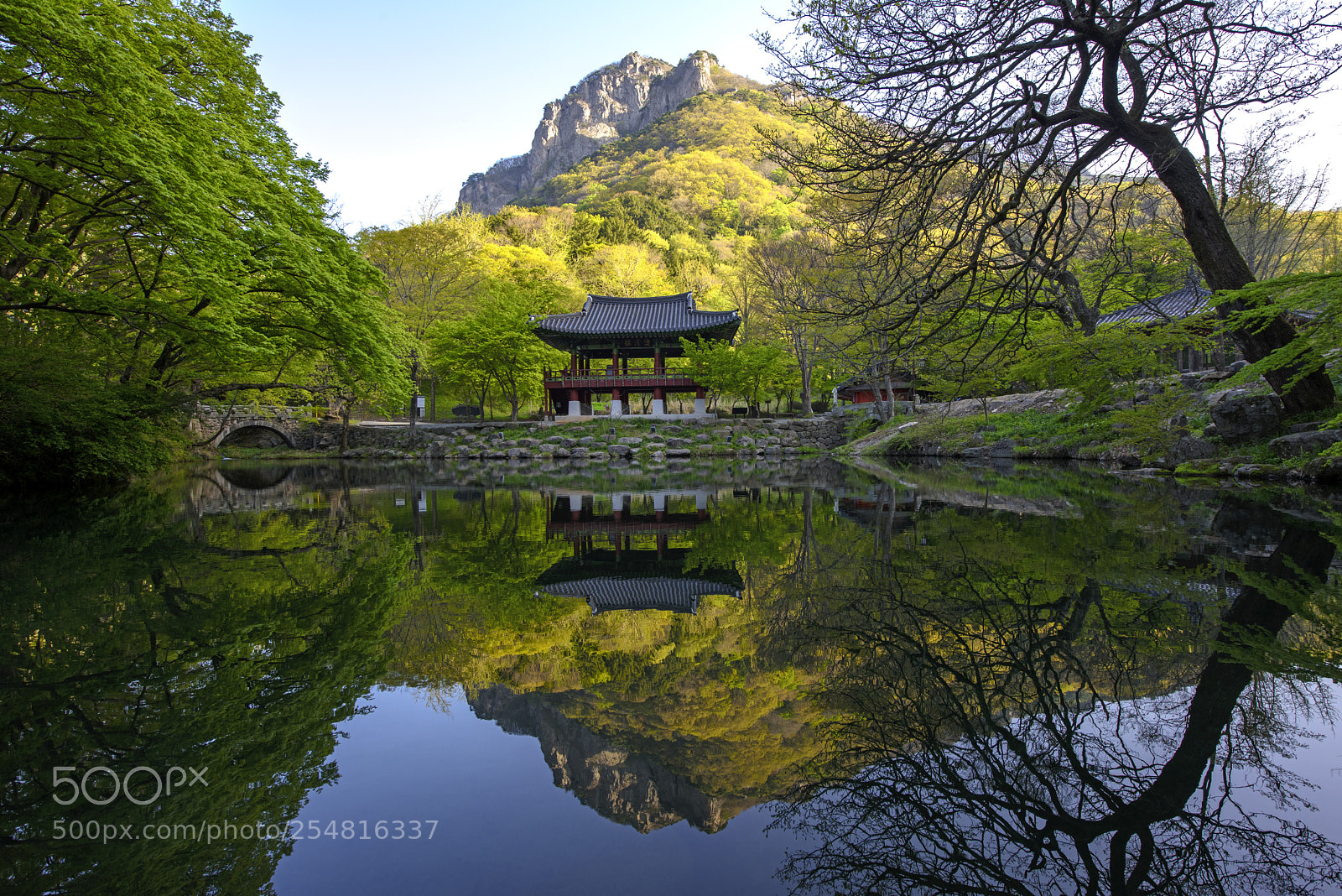 Nikon D810 sample photo. Morning calm photography