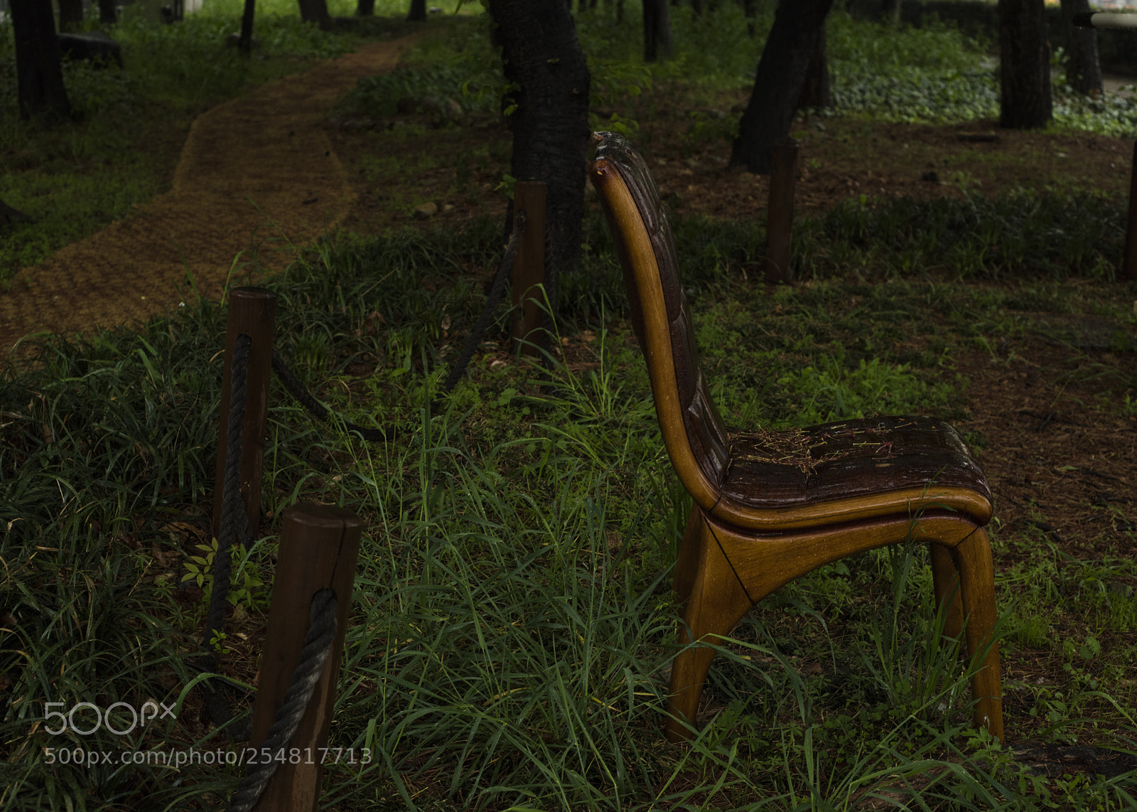 Nikon D810 sample photo. It is raining  no.2 photography