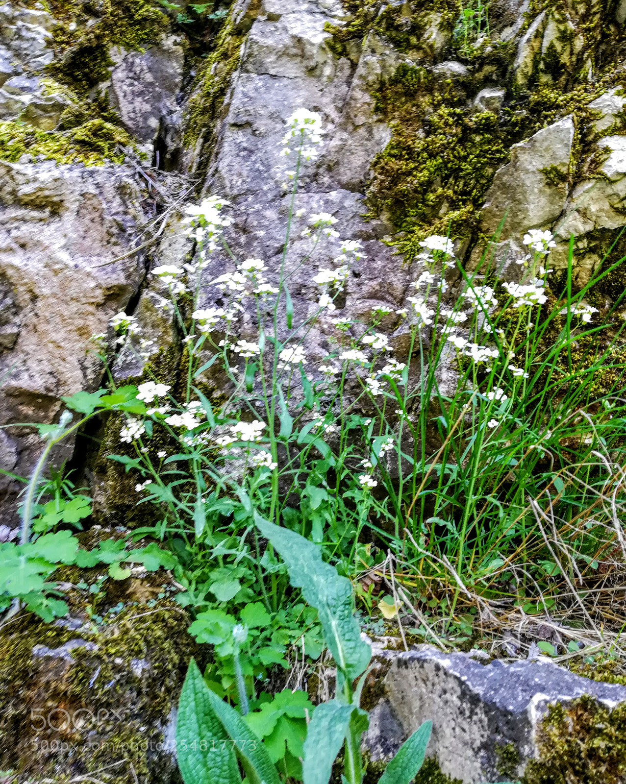 HUAWEI PRA-LX1 sample photo. Untitled photography